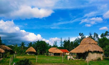 Preserving Natural Habitats Through Responsible Forest Tourism