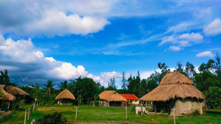 Preserving Natural Habitats Through Responsible Forest Tourism